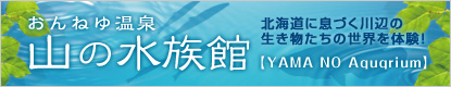 おんねゆ温泉　山の水族館　北海道に息づく川辺の生き物たちの世界を体験！