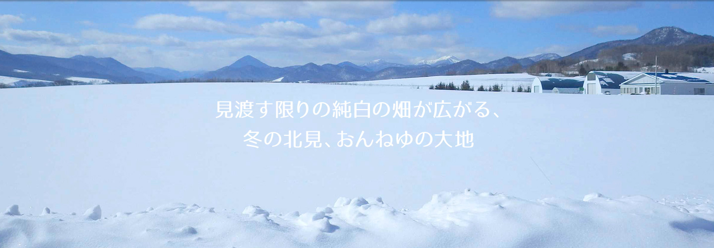 見渡す限りの純白の畑が広がる、冬の北見、おんねゆの大地