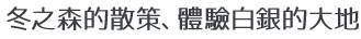 冬の森散策で、白銀の大地を実感する